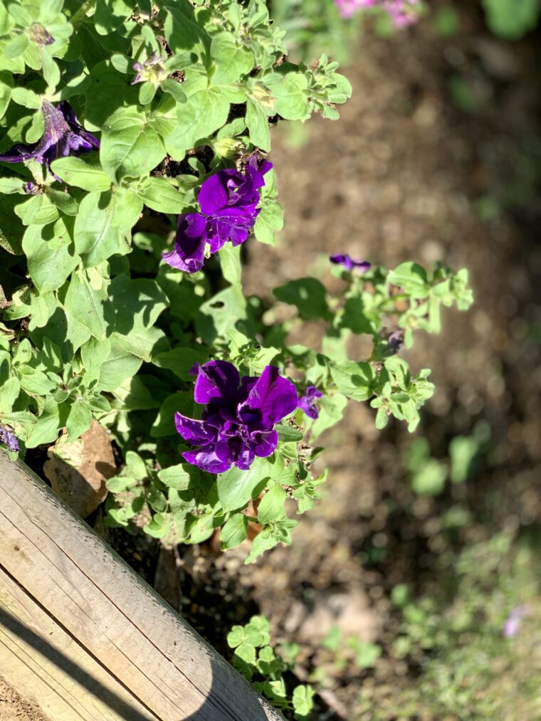 夏の写真撮影会📷💕