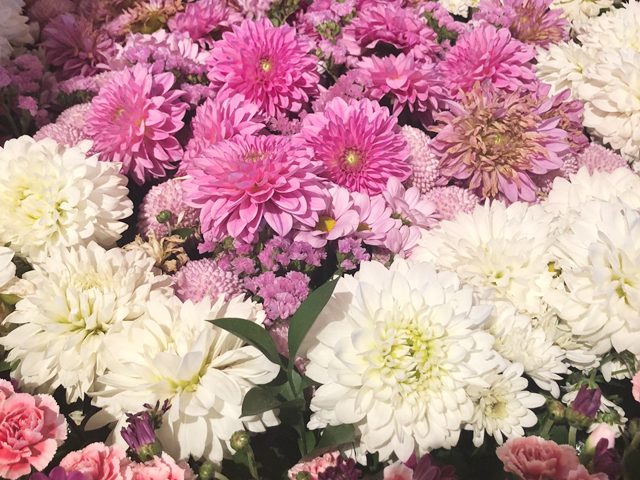 秋の花と言えば