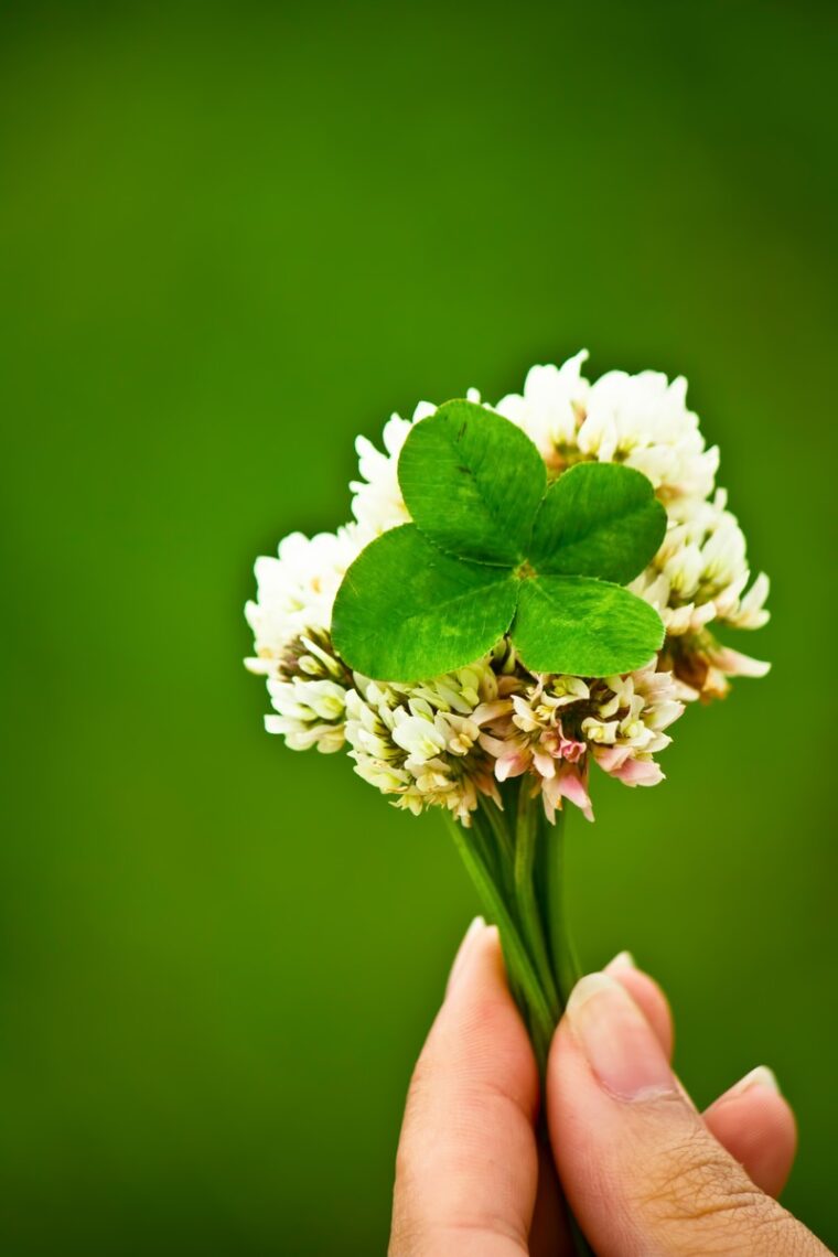 チャットレディの向き・不向きとは