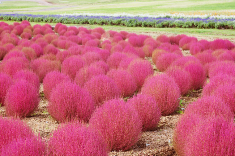 副業にも最適！短時間高収入のチャットレディのお仕事は安全？！