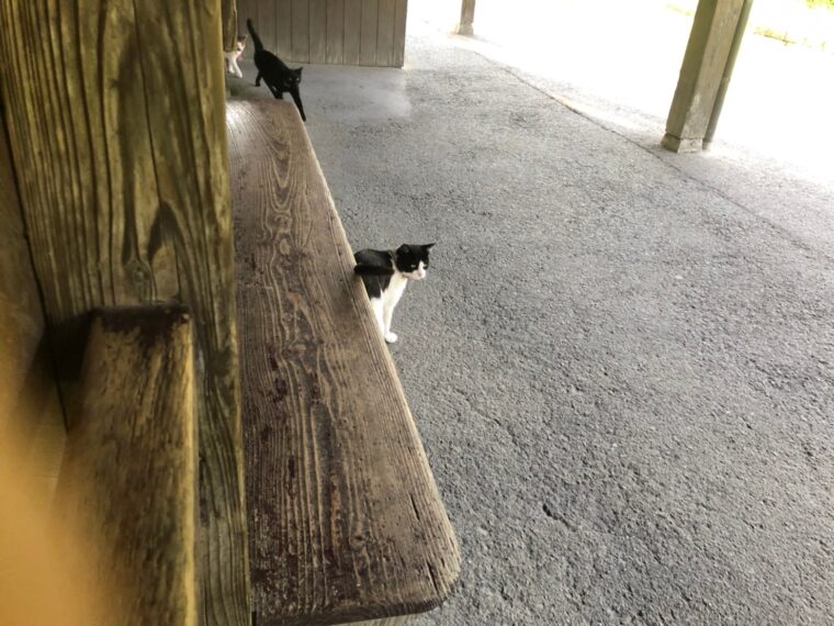 ★★天文館★★　　早目の面接のご予約を・・