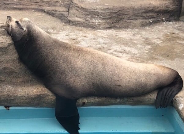 またまたよろしくお願いします！