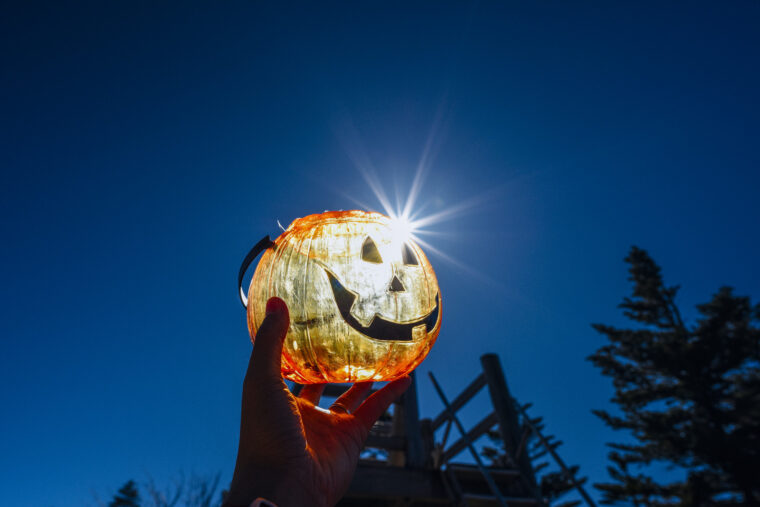 チャットレディで稼ぐ人と稼げない人の差とは？コツを伝授！