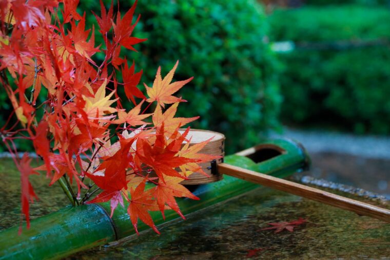 これからの時期が稼ぎ時？！チャットレディのお仕事を始めるなら今しかない！