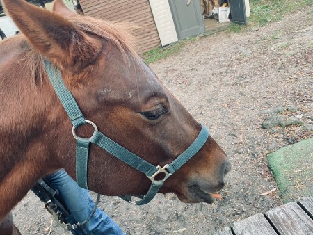 息抜きや気分転換が大切なんです(*’▽’)♡