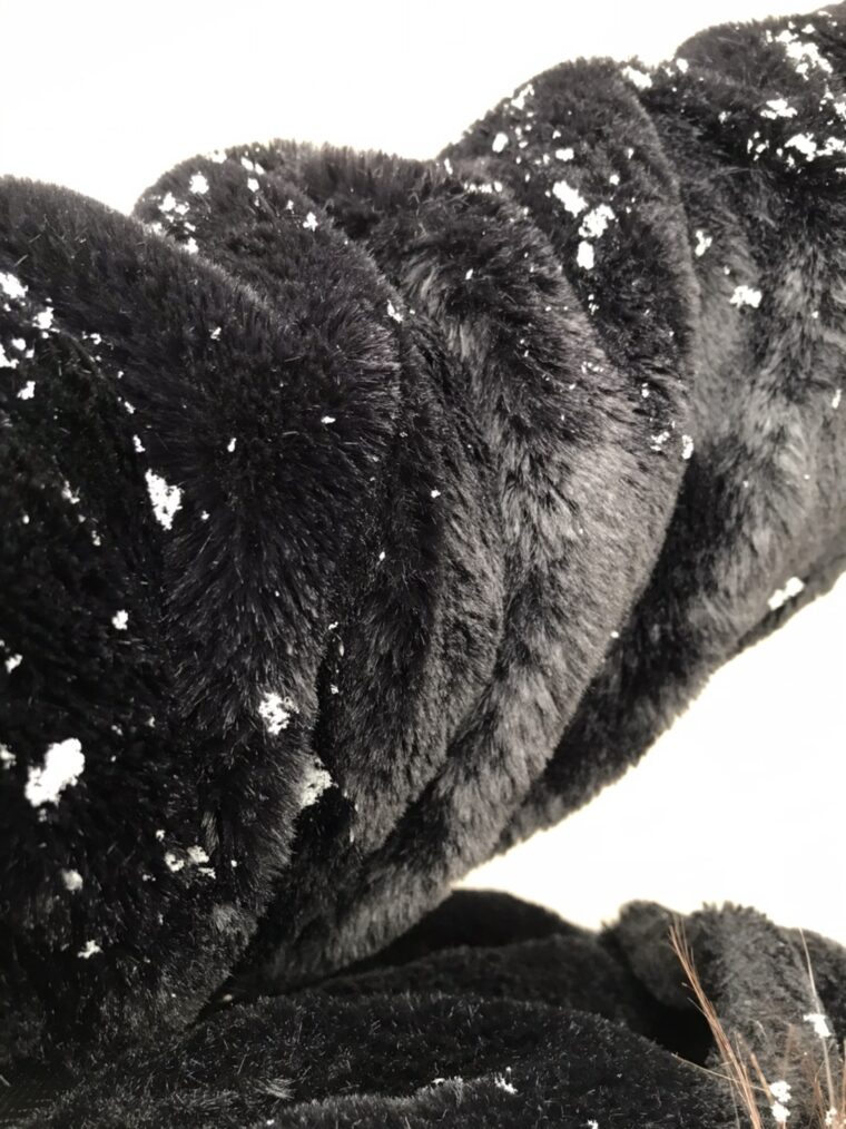 〖博多店〗札幌へ・・・✈