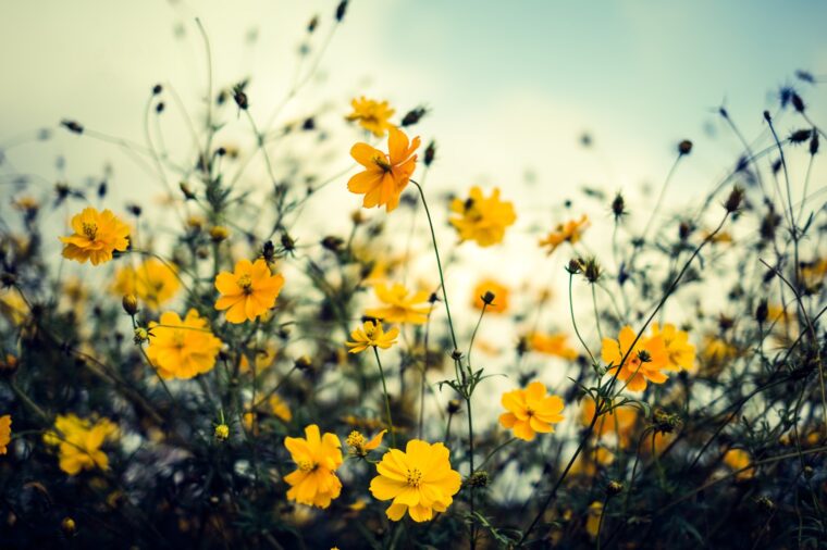 チャットレディのお仕事では諦めない心を持とう！