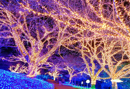 2020年も残り2か月＞＜