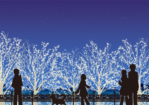 キラキラ🌟イルミネーション 画像3