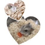 スタッフ鈴木のお稼ぎ事情☆