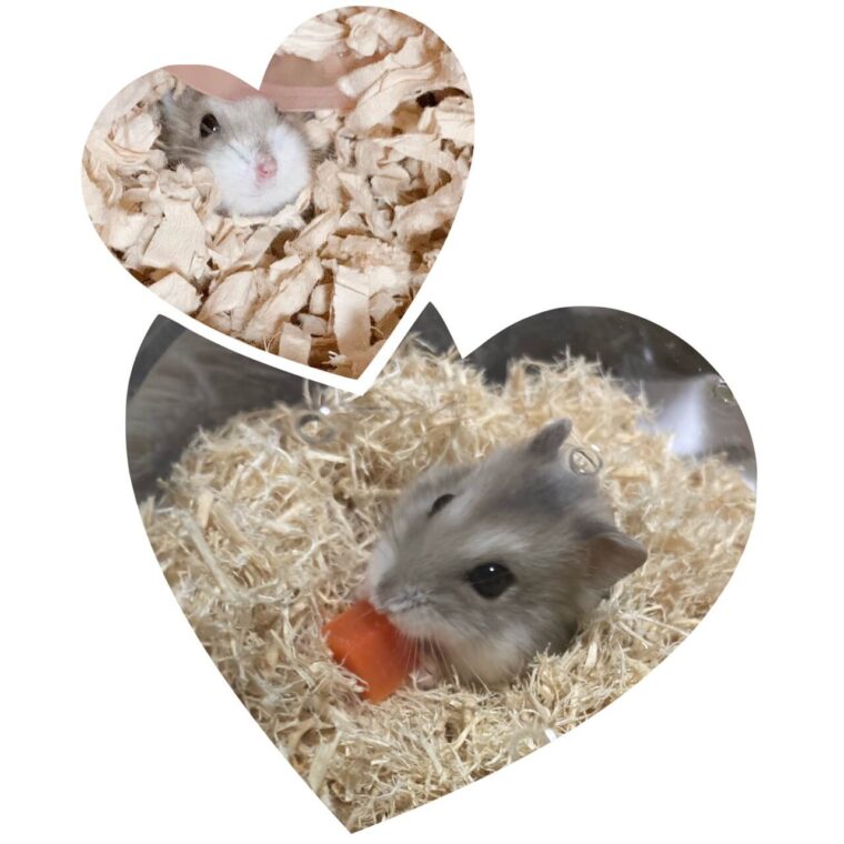 スタッフ鈴木のお稼ぎ事情☆