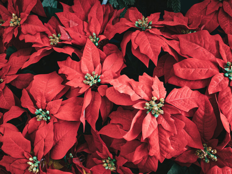 チャットレディはオシャレ女子が多いって本当？！