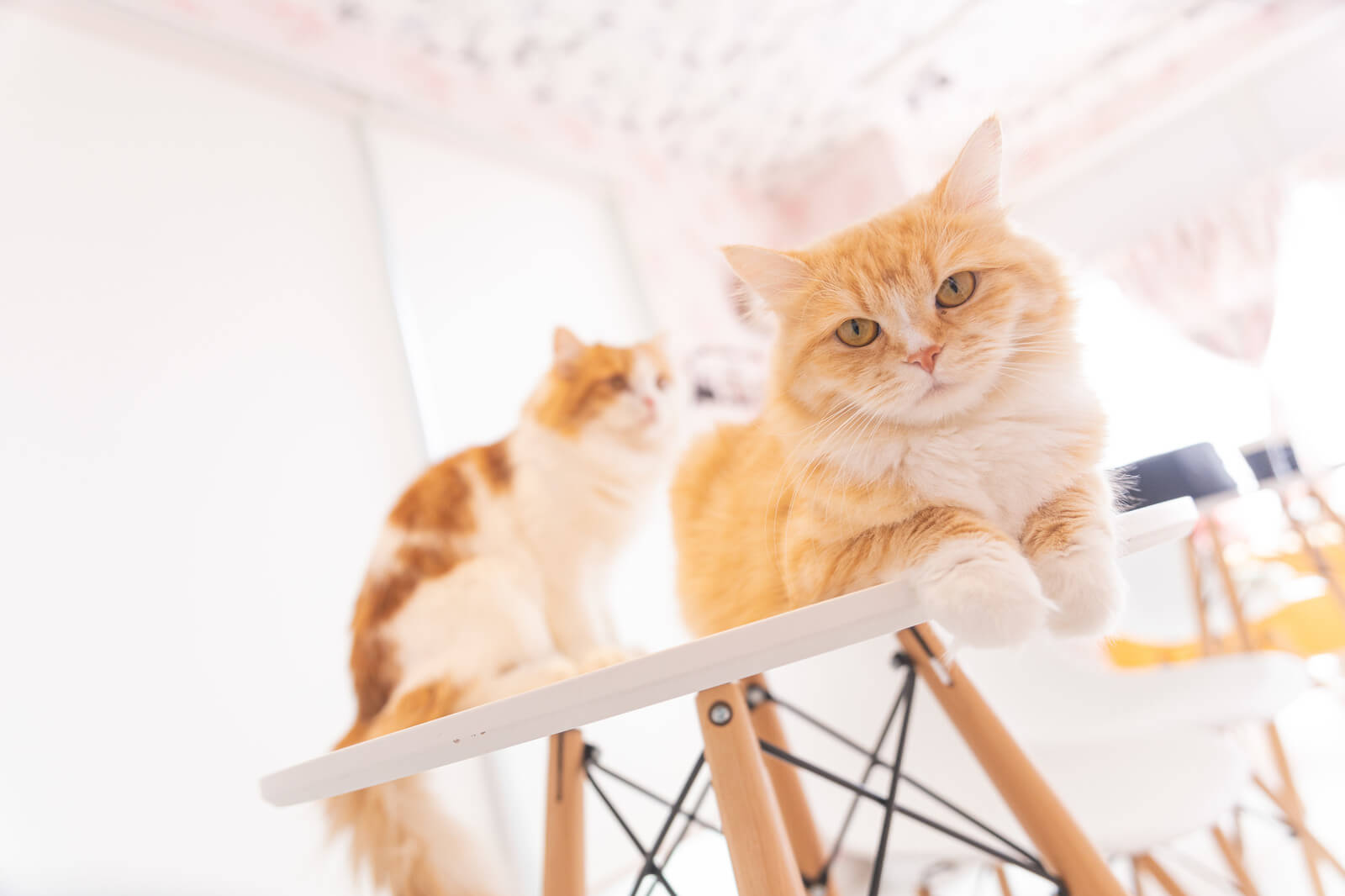 【大通店】森七菜に学ぶ魔性♡