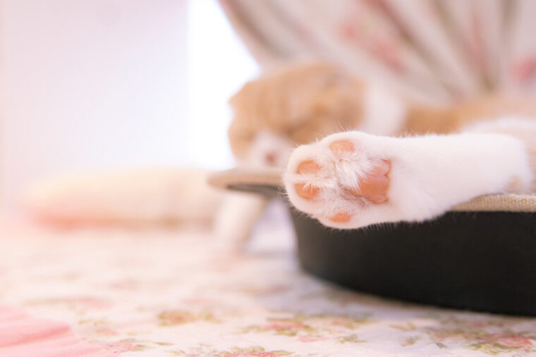 【大通店】女子力は意識の高さ♪