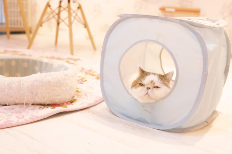 【大通店】お鍋でほかほか♪