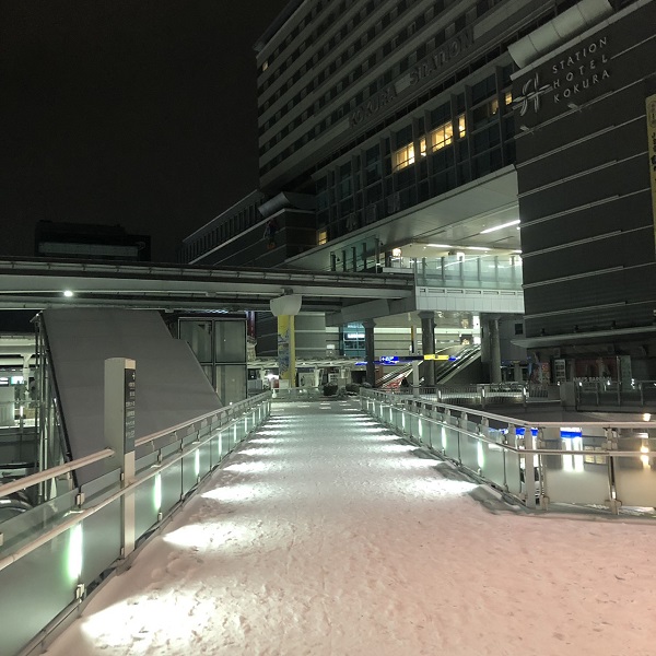 皆がインドアしている時がチャットレディの時間です💰