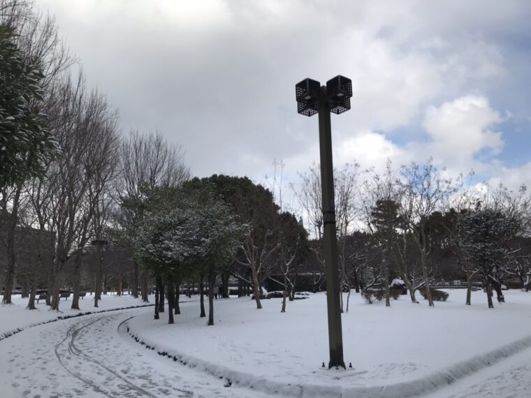 【博多店】十日恵比須⛩