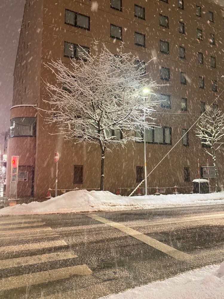 【大通店】雪～⛄❄