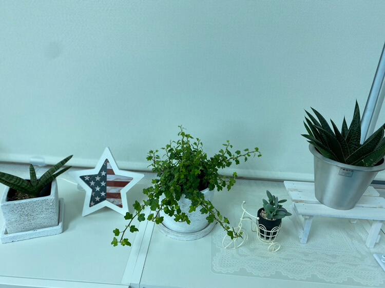 【大通店】仲間入り🌱✨