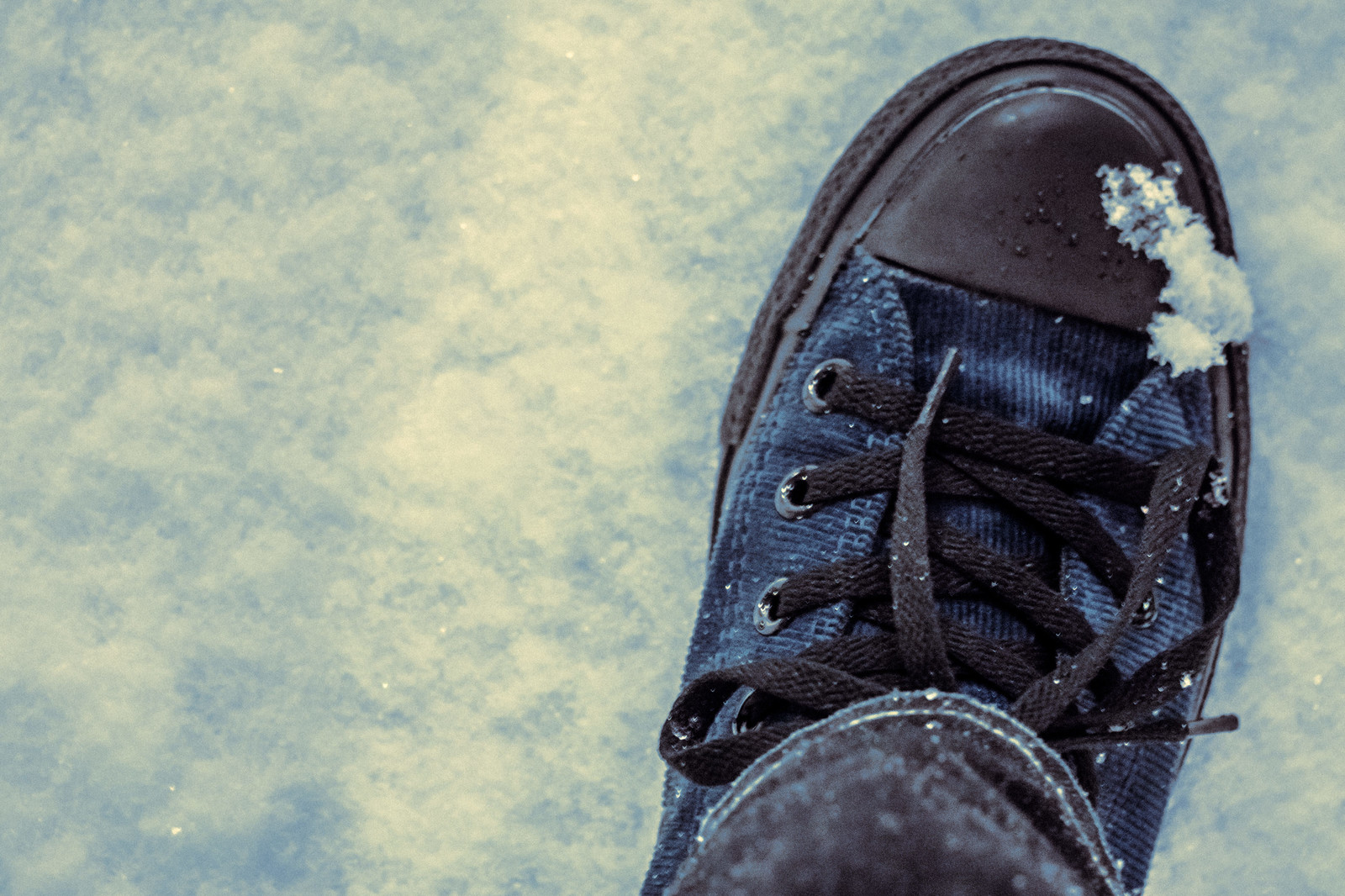 子供のなりたい職業ランキング