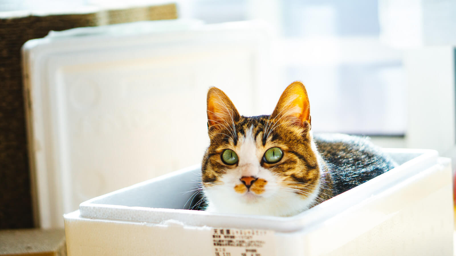 【大通店】もうすぐバレンタイン♪