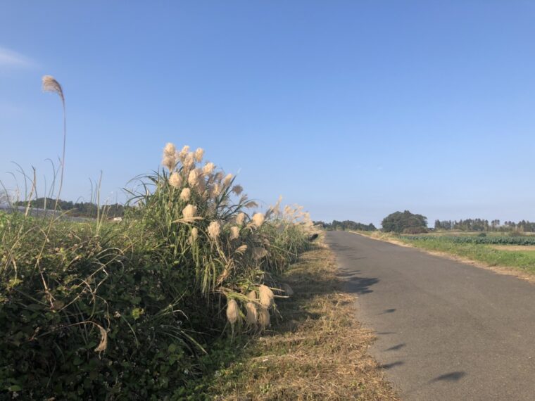 ★☆天文館店☆★ニャンニャンニャンの日！！