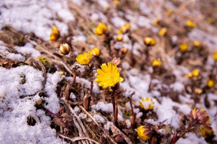 アリスで働いている女の子の体験談を紹介しちゃいます！