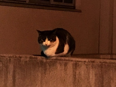 お財布も暖かくなりますように・・・(T_T)