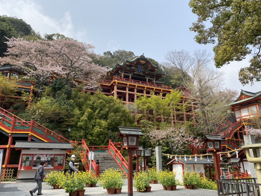 困ったらすぐ連絡してください(^o^)／