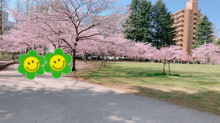 未経験者でもOK♪