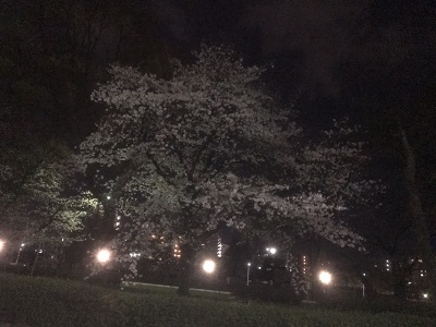 結局何が言いたいのかというと