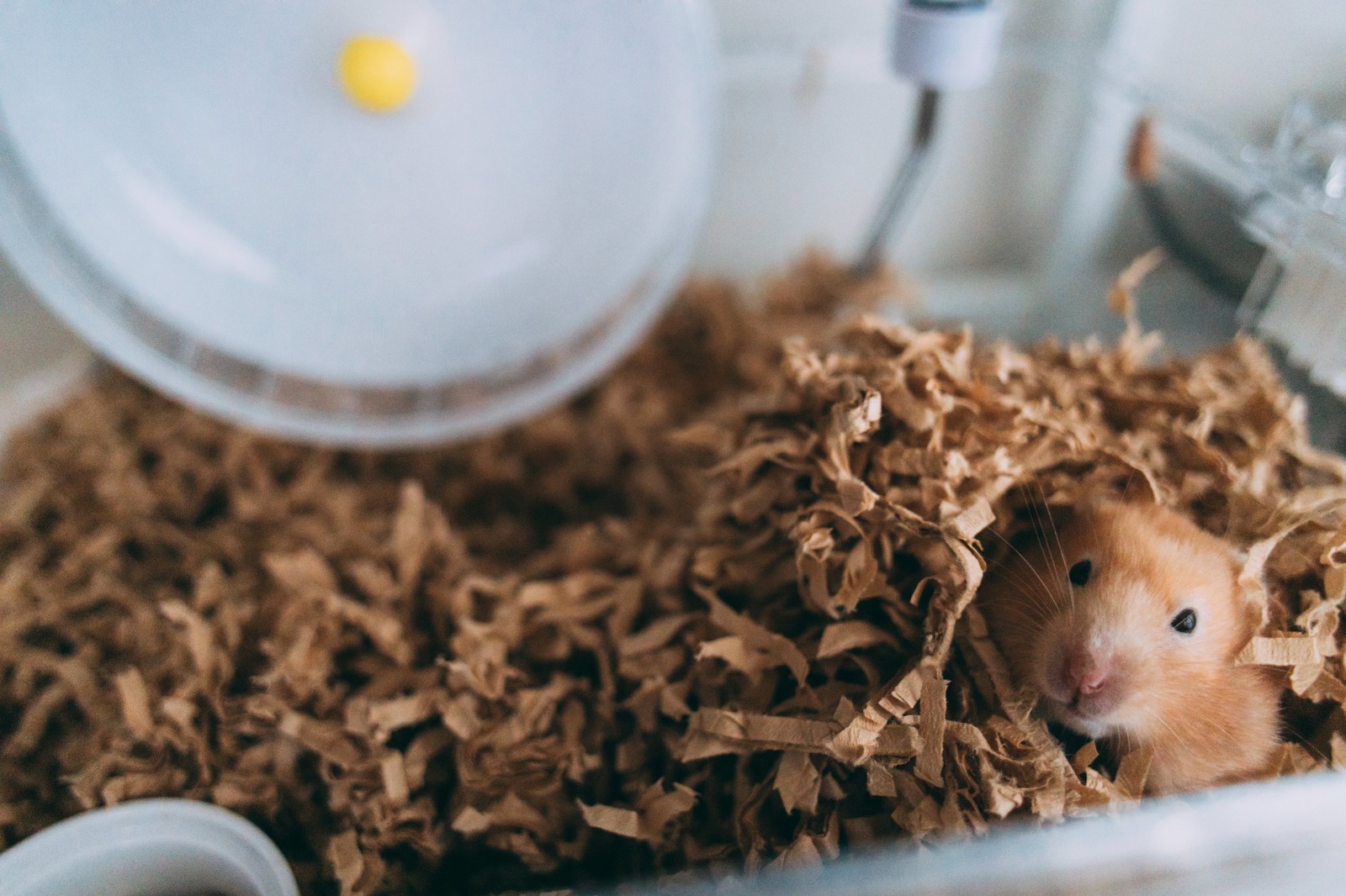 頑張る理由を作りましょう!