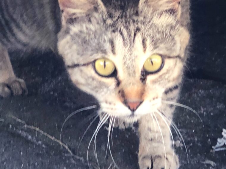 ★☆天文館店☆★チャットレデイ応募に迷われてる方へ4