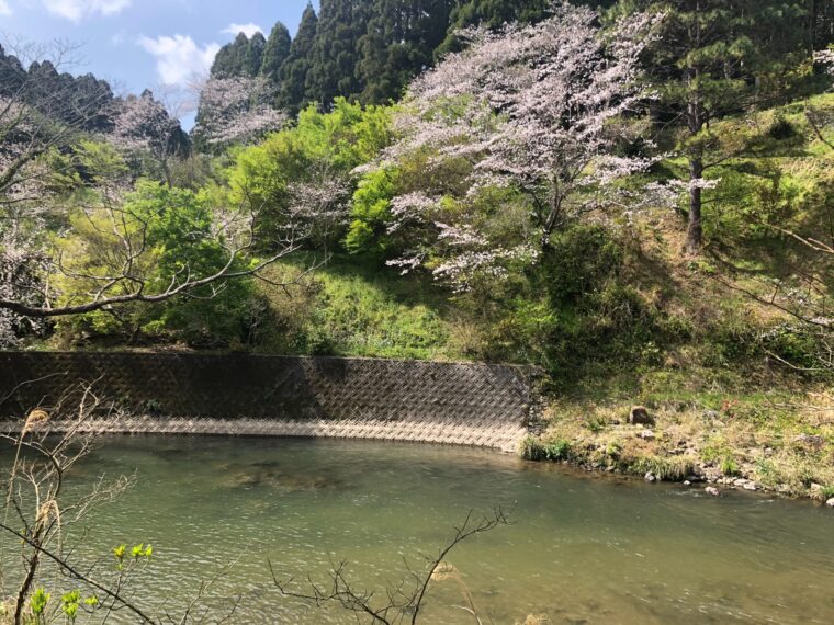 ★☆天文館店☆★春なので！！