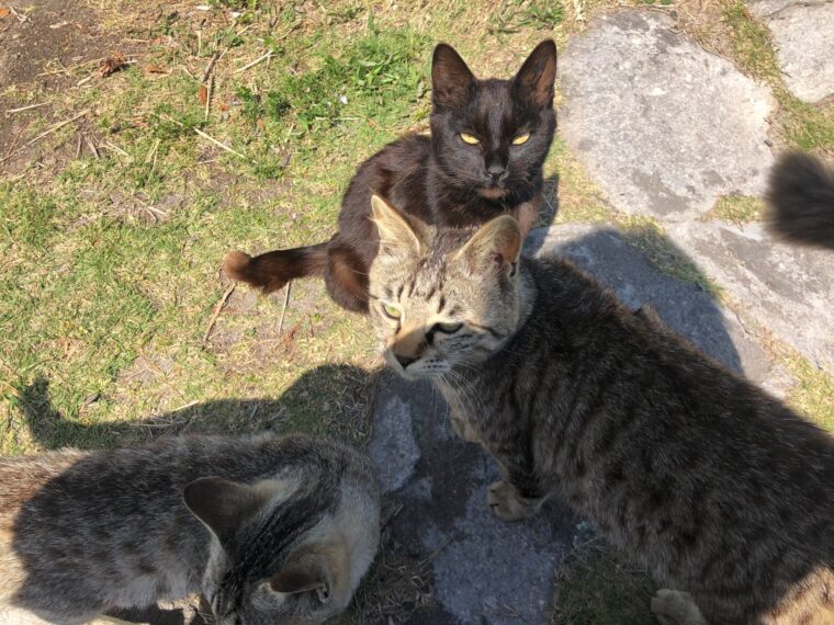 まだ間に合います！！GWの高収入獲得チャンスに！！★☆天文館店☆★