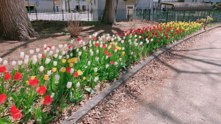 GWは来たもん勝ち！！