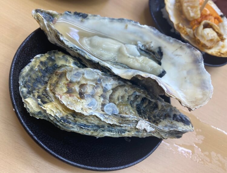 未経験でもご安心を✨