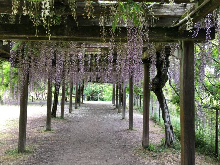 バイト感覚でも副業でも・・いいですよ(^^)