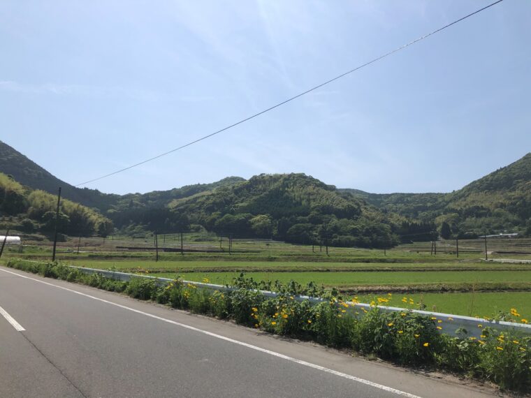 チャットレデイを本業として①