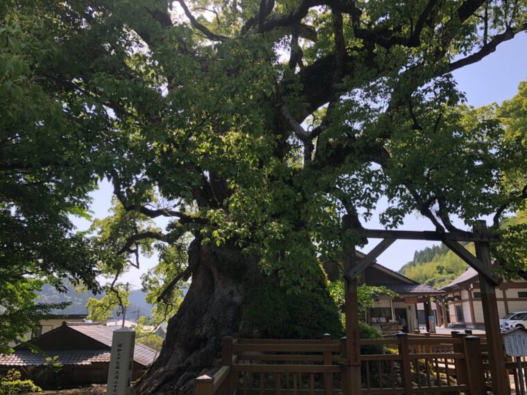 チャットレデイを本業として　まとめ