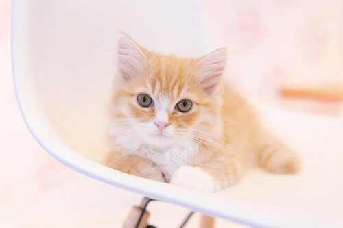 目を合わせて♡