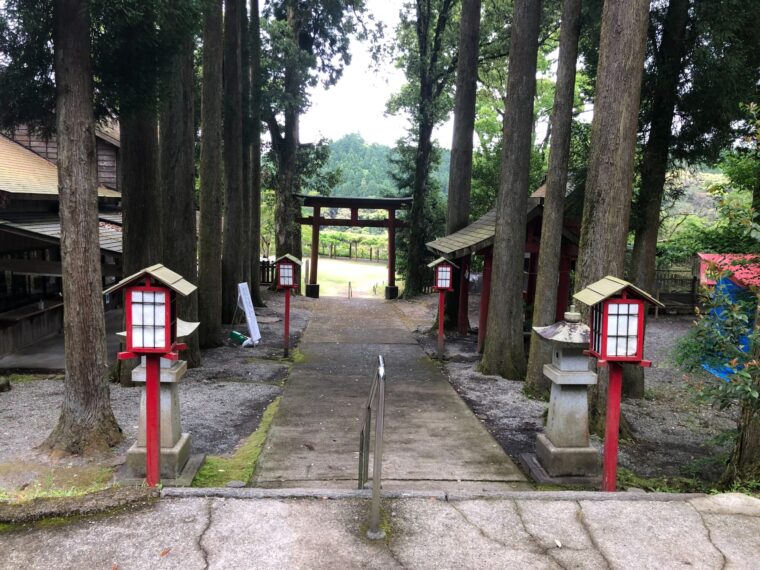 まだまだ、間に合いますよ(^^)