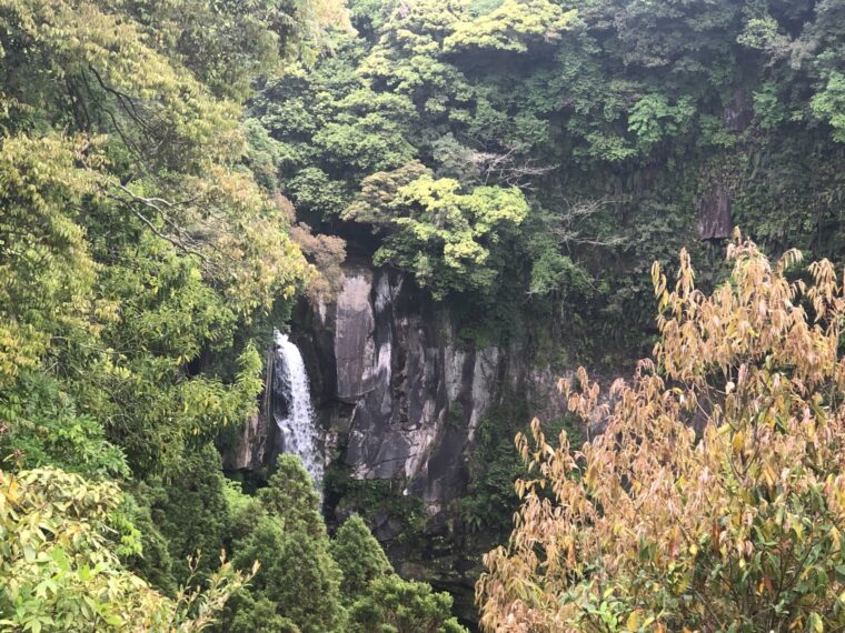 コロナの影響でお店が休業し、仕事・お金がない。生活が苦しい水商売、ナイトワーク、モデルの今後