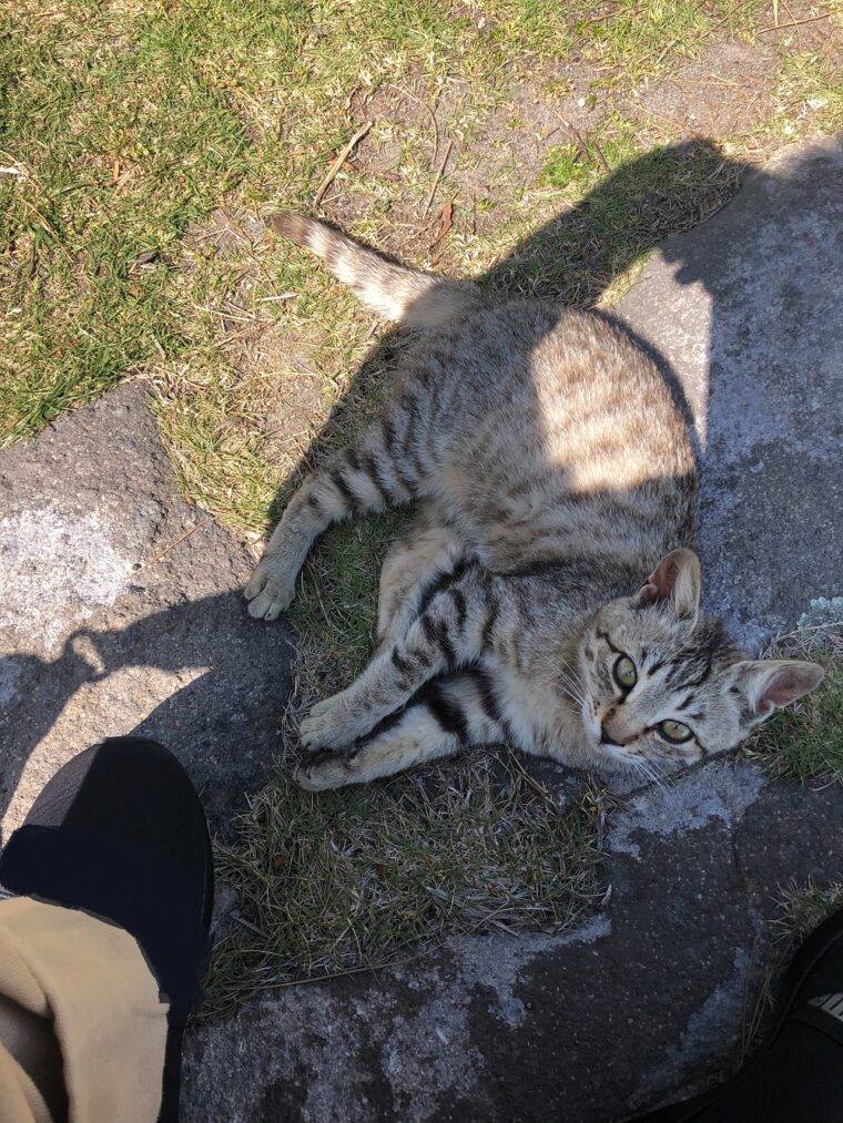 チャットレディ応募によくある質問