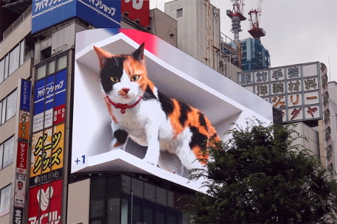 新宿駅前に巨大猫が出現・・・