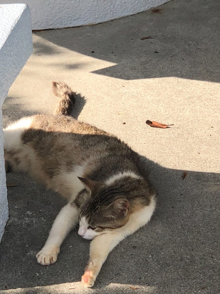 女子のマル秘モテテク！！②