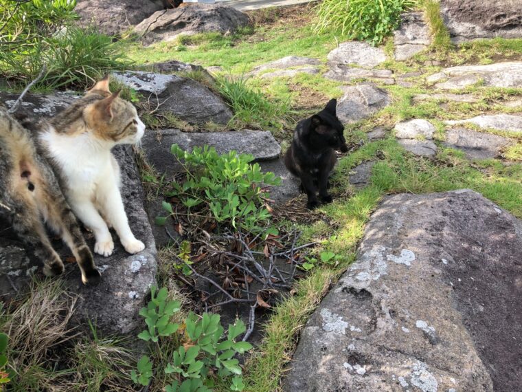 女子のマル秘モテテク！！③