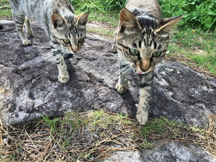 高収入を稼ぐなら連休前の今に面接を！！②