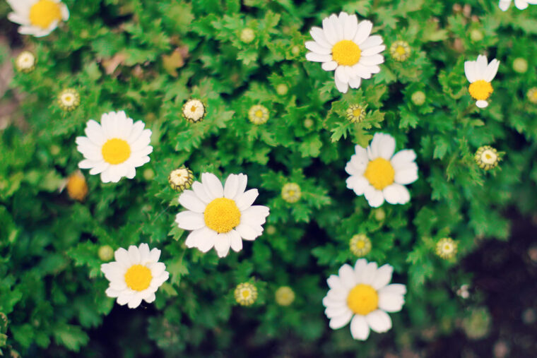 女性スタッフのみ♡