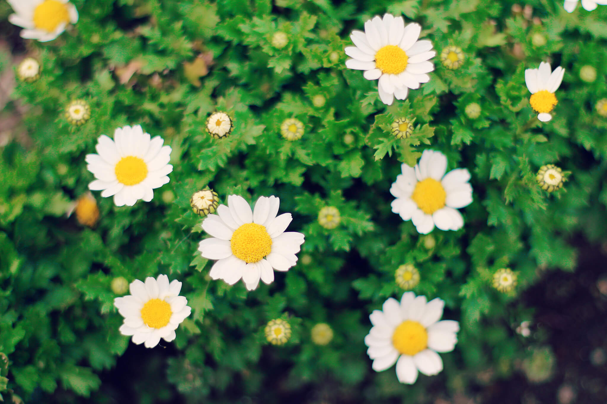 女性スタッフのみ♡